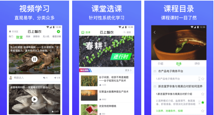 云上智农怎么线上培训